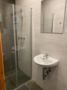 a bathroom with a shower and a sink and a glass shower stall at Stajnia Bocianie Gniazdo in Uniejow