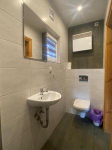 a bathroom with a sink and a toilet at Stajnia Bocianie Gniazdo in Uniejow