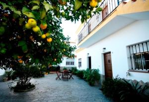 une cour avec un oranger en face d'un bâtiment dans l'établissement Casa Rural El Limonero, à Los Naveros