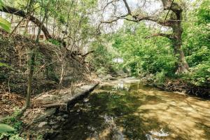 a stream in a wooded area with trees at 2025 Award-Winning Treehouse Game Days, Steps to UT Stadium in Austin