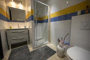 a bathroom with a shower and a toilet and a sink at L'Eden des Grisons in Le Sauze-du-lac