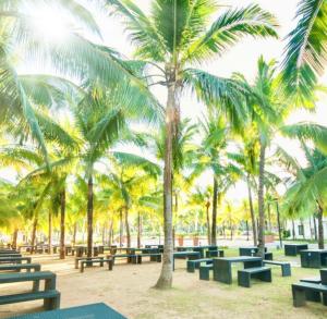a row of picnic tables under palm trees on a beach at Casa Amores: Camaya Coast in Mariveles