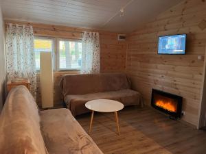 a living room with a couch and a fireplace at Domek obity dechami in Hartowiec