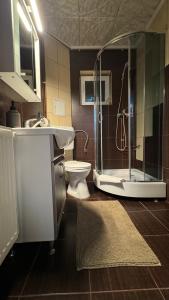 Koupelna v ubytování Casa Nicoladis + 62 fotografií