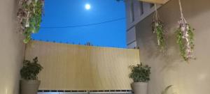 a stage with potted plants on the wall at Rania's house in Aigio