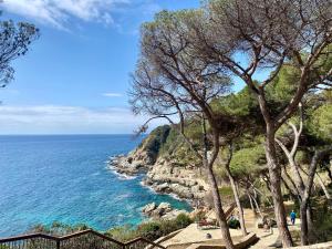 a view of the ocean from a cliff at MY ALVA PARK - 50m from the beach in Lloret de Mar