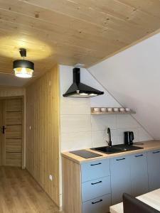 a kitchen with a sink and a counter top at Apartament 4 os u Króla in Biały Dunajec +2 photos