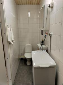 a small bathroom with a toilet and a sink at Your loft in Seinäjoki
