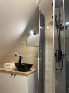a bathroom with a sink and a shower at Apartament 4 os u Króla in Biały Dunajec