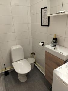 a bathroom with a white toilet and a sink at Your loft in Seinäjoki
