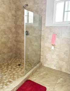 a shower stall with a glass door in a bathroom at The Sunflower Villa in Grand Turk