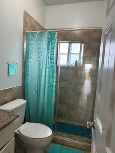 a bathroom with a green shower curtain and a toilet at The Sunflower Villa in Grand Turk