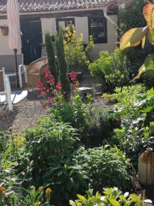 Vonkajšia záhrada v ubytovaní La Little School Chambres d'Hôtes à Arçay