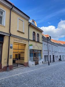 a street with buildings on a cobblestone street at Dům na Kollárce in Znojmo