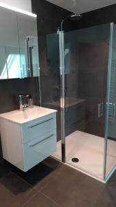 a bathroom with a shower and a sink and a shower at Neubau Ferienwohnung - Wallsbüll in Wallsbüll