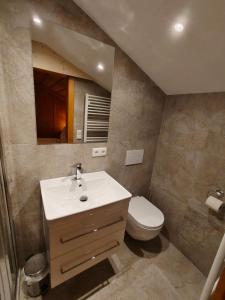 een badkamer met een wastafel en een toilet bij Rieserhof in Heinfels