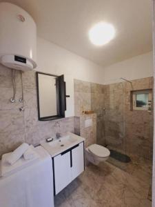 a bathroom with a sink and a toilet and a shower at Guest house Green River in Ljubuški
