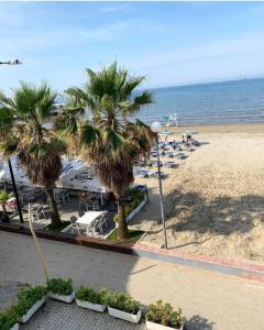 una playa con sillas, palmeras y el océano en DIELL HOTEL, en Durrës