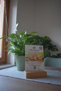 Fotografie z fotogalerie ubytování Studio apartment Velis v destinaci Radovljica