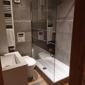 a bathroom with a shower and a toilet and a sink at Les Arpents Verts in Momignies