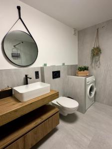a bathroom with a sink and a toilet and a mirror at La casa verde in Bled-Rečica +17 photos