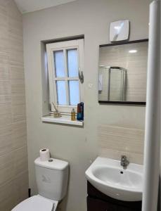 a bathroom with a toilet and a sink and a mirror at Unique Studio Flat in City Center in Leicester