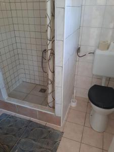 a bathroom with a toilet and a shower at Badacsony Hostel in Badacsonytomaj