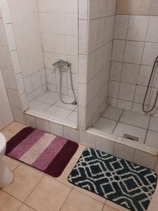 a bathroom with a shower with two rugs on the floor at Badacsony Hostel in Badacsonytomaj