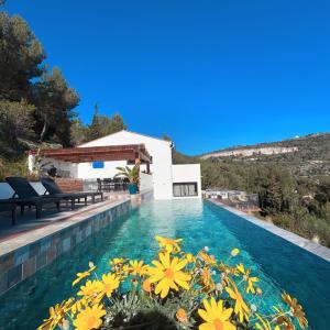 埃茲的住宿－A Eze , Bas de villa piscine près de Monaco，一座鲜花盛开的游泳池