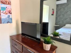 a bedroom with a flat screen tv and a mirror at Rancho el Sobrino in Sabana Westpunt