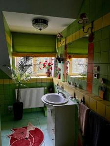 uma casa de banho verde com um lavatório e um espelho em DOM GOŚCINNY NAD JEZIOREM BIAŁYM em Gorzewo