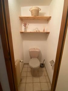 Baño pequeño con aseo y estante en Appartement chaleureux vue sur centre historique, en Riquewihr