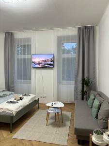 Televízia a/alebo spoločenská miestnosť v ubytovaní Apartment Vienna