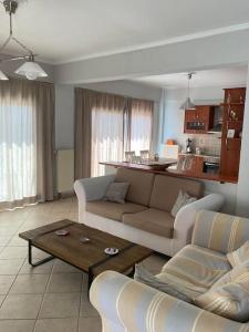uma sala de estar com um sofá e uma mesa em Όμορφο διαμέρισμα με εκπληκτική θέα em Menídion