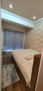 Cama en habitación con ventana y alfombra en Studio apartmani Anika, en Vrdnik