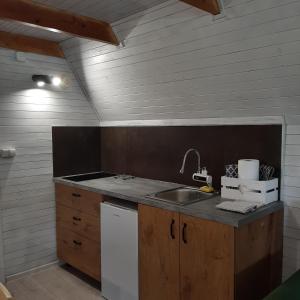 uma cozinha com um lavatório e uma bancada em domek good vibes B em Gnieżdżewo
