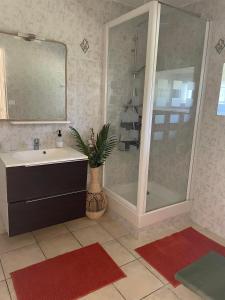 een badkamer met een wastafel, een douche en een spiegel bij Domaine des quatre terres in Lesparre-Médoc
