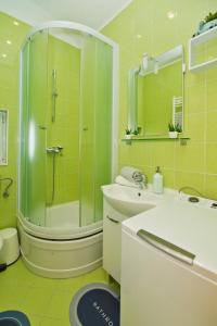 uma casa de banho verde com um chuveiro e um lavatório em Apartment LUCE em Hvar