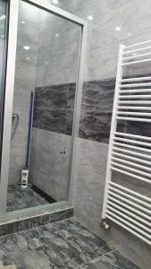 y baño con ducha y puerta de cristal. en Kuca, en Sarajevo