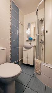 Ванная комната в La Izvor Lepsa