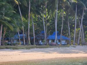 エルニドにあるDK2 Resort - Hidden Natural Beach Spot - Direct Tours & Fast Internetのヤシの木が生える浜辺の青い屋根の家