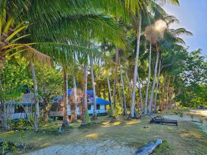 una casa sulla spiaggia con palme e panchina di DK2 Resort - Hidden Natural Beach Spot - Direct Tours & Fast Internet a El Nido