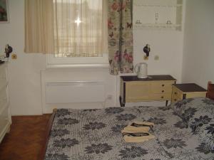 - une chambre avec un lit et une fenêtre dans l'établissement Tanzanit, à Štúrovo