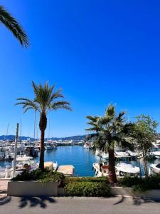 a view of a marina with palm trees and boats at Studio palais des festivals Croisette in Cannes