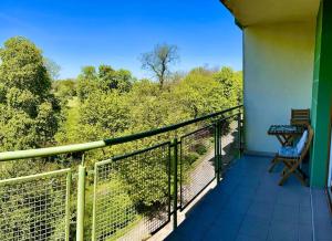 balcone con sedia e vista sugli alberi di Miejska oaza a Varsavia