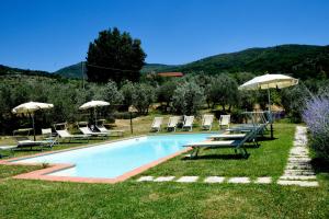 einen Pool mit Liegestühlen und Sonnenschirmen in der Unterkunft Comfortable apartment in the heart of the Tuscan countryside in Pulicciano