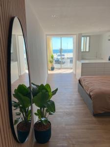 a bedroom with a mirror and two plants and a bed at Superbe, face à la mer, balneo, rétroprojecteur in Canet-en-Roussillon