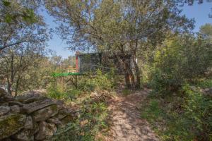 Paesaggio naturale nelle vicinanze dello chalet