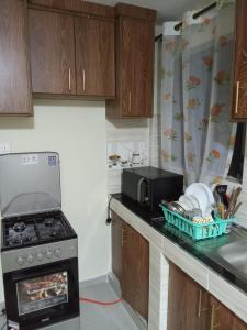 a small kitchen with a stove and a sink at Tuck Inn in Ngong