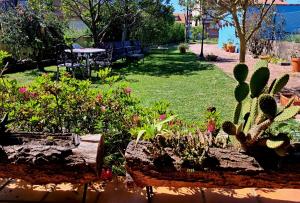 A garden outside Apartamento Casa A Braña